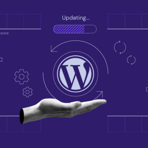 How-to-update-wordpress-1